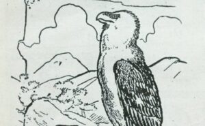 Es un enigma visual que requiere atención. ¿Puedes encontrar el corderito escondido que ha capturado este águila?