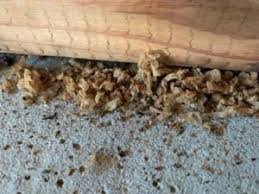 ¿Alguien sabe qué puede ser esto? Encontré dos montones de ellos solo en la habitación de mi hija. ¡Es muy peligroso! ¡Vamos a averiguar por qué!