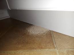 ¿Alguien sabe qué puede ser esto? Encontré dos montones de ellos solo en la habitación de mi hija. ¡Es muy peligroso! ¡Vamos a averiguar por qué!