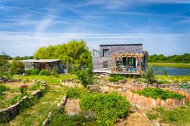 Wei descubre secretos sorprendentes en la pequeña casa construida en la granja familiar. ¡Vamos a descubrirlo juntos!