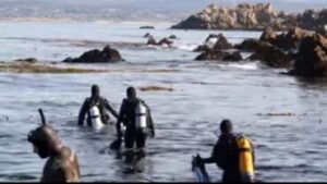 "Los navegantes encuentran un viejo barco hundido y se sorprenden con lo que hay dentro. ¡Nadie esperaba esto! ¿Qué hay dentro?"