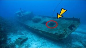 "Los navegantes encuentran un viejo barco hundido y se sorprenden con lo que hay dentro. ¡Nadie esperaba esto! ¿Qué hay dentro?"