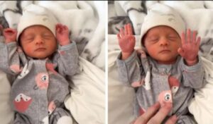 ¡Qué adorable reacción tiene este pequeño al canto de su mamá! ¡La reacción de la mamá es invaluable! ¡Veamos juntos este emotivo video!