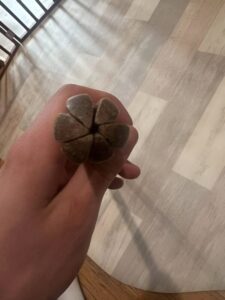 "Encontré esto en casa de mi abuelo... Por favor, ayúdame a descubrir qué es..."