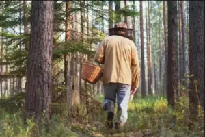 Un abuelo de 70 años se topó con un costoso automóvil abandonado en el bosque. Abrió el maletero y se quedó sin palabras... ¡Estaba en shock! ¿Qué encontró allí?