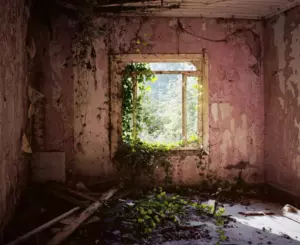 ¡Esta historia sacudió todo Internet! ¡Mira lo que fue descubierto en una casa abandonada! ¡Ni te imaginas lo que encontraron allí!