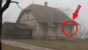 ¡Esta historia sacudió todo Internet! ¡Mira lo que fue descubierto en una casa abandonada! ¡Ni te imaginas lo que encontraron allí!