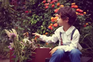 Un niño promete regar las plantas de una anciana que se muda a un asilo de ancianos y encuentra una nota dejada en la tierra – Historia del día