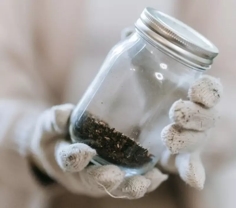 Un niño promete regar las plantas de una anciana que se muda a un asilo de ancianos y encuentra una nota dejada en la tierra – Historia del día