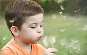 Mi esposa me dijo que nuestro hijo de 3 años fue enterrado. Un día después descubrí la horrible verdad