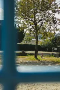Mi vecina puso un inodoro en mi jardín y escribió "Tira tu opinión aquí", después de que le pidiera que no se sentara al sol frente a la ventana de mi hijo.