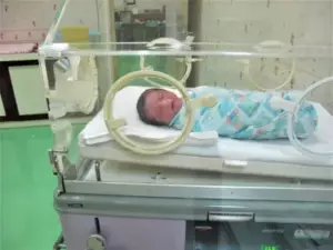 Historia del día: Un médico cría a trillizos después de que su madre muere durante el parto, y cinco años después, aparece su padre biológico.