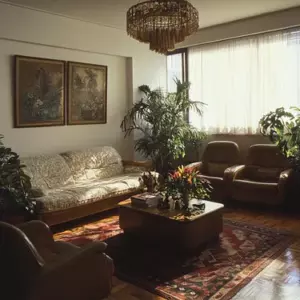 La casa era tan barata que pensé que había ganado la lotería, pero cuando vi el sótano, lo entendí todo — Historia del día