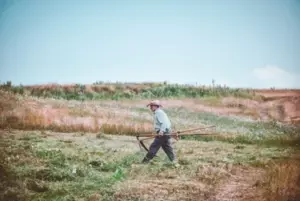 Un hombre compra una granja abandonada por los últimos mil dólares y le caen dólares en la cabeza mientras revisa el ático — Historia del díaI’m