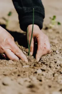 Un hombre compra una granja abandonada por los últimos mil dólares y le caen dólares en la cabeza mientras revisa el ático — Historia del díaI’m