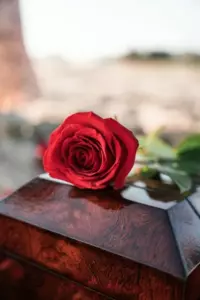 En el funeral de mi abuelo, un desconocido me entregó una nota. Cuando la leí, me reí porque el abuelo nos había engañado