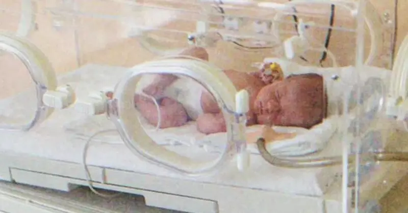 A un viudo se le prohíbe abordar un vuelo con su bebé recién nacido, Meredith, de 82 años, lo ayuda: la historia del día