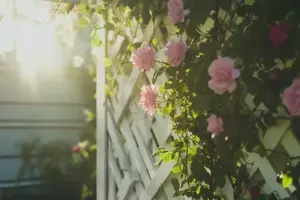 La última lección de la abuela: Las semillas del amor y la esperanza