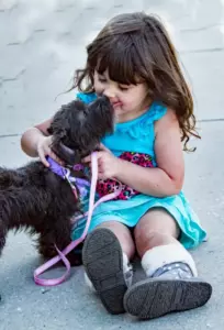 Un hombre oye a su perro ladrar a lo lejos y lo encuentra sentado cerca de un bebé abandonado – Historia del día