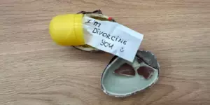 'Me estoy divorciando de ti': la impactante sorpresa que recibí después de decirle a mi esposo que estaba embarazada – Historia del día