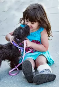 La historia del día trata sobre un hombre que escucha a su perro ladrar a lo lejos y descubre que está sentado junto a un bebé abandonado.