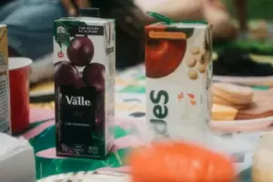 La comida y los dulces empezaron a desaparecer de mi casa: cuando encendí la cámara oculta, me puse pálida