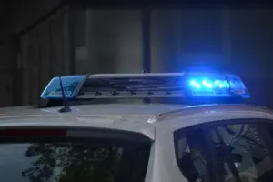 Un perro llevó a su dueño al patio trasero de una casa abandonada y lo convirtió en millonario