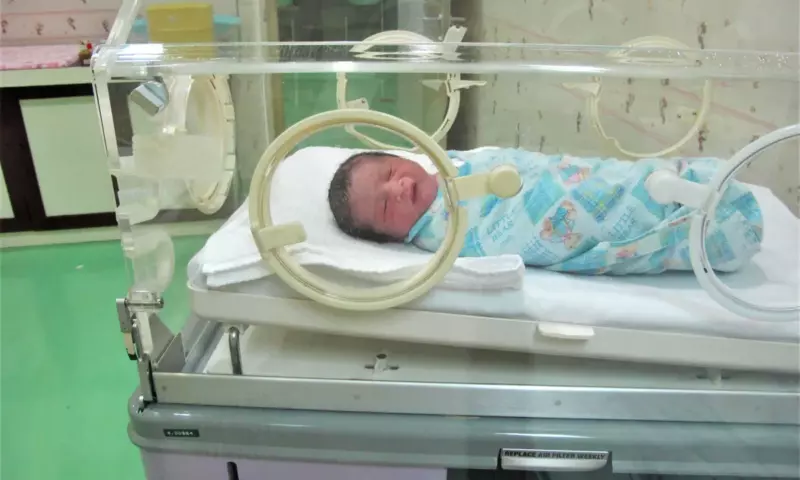 Pasé casi 400 días en el hospital con mi bebé recién nacido enfermo y nos encontramos sin hogar cuando nos dieron el alta – Historia del día