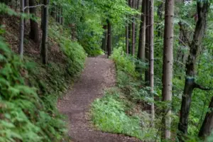 Mi hijo y yo encontramos un viejo remolque abandonado en el bosque. Entró y la puerta estaba misteriosamente cerrada