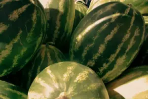 Mi esposo me dijo que estaba demasiado ocupado para recogerme del supermercado con bolsas pesadas, y luego lo sorprendí ayudando a nuestro nuevo vecino joven a mudarse.