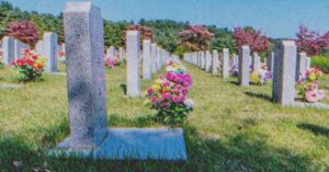 Un año después de la muerte de su hijo, una mujer ve la tumba de su nuera en el cementerio – Historia del día