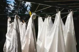 Mi vecina comenzó una barbacoa cada vez que cuelgo la ropa afuera solo para arruinarla