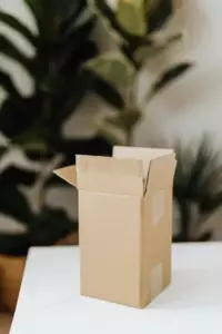 Una mujer recibe un collar lujoso por correo y descubre que lo enviaron por error — Historia del día