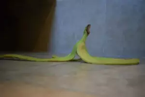Mi hijastra adulta dejó basura en mi casa y me trató como a una criada, así que le di una lección