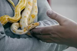 Mi novia mintió sobre conocer a su mejor amiga - Yo estaba con su mejor amiga en ese momento exacto eligiendo un anillo de propuesta para mi novia